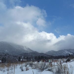 Meet your Posher, Brittney